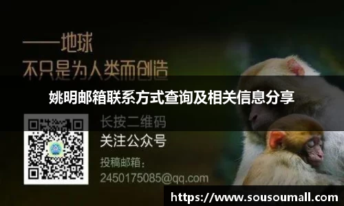姚明邮箱联系方式查询及相关信息分享